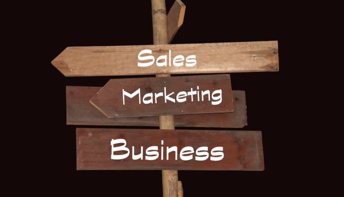 Digital marketing preliminary lesson- Sales and marketing lead to growth of any business.